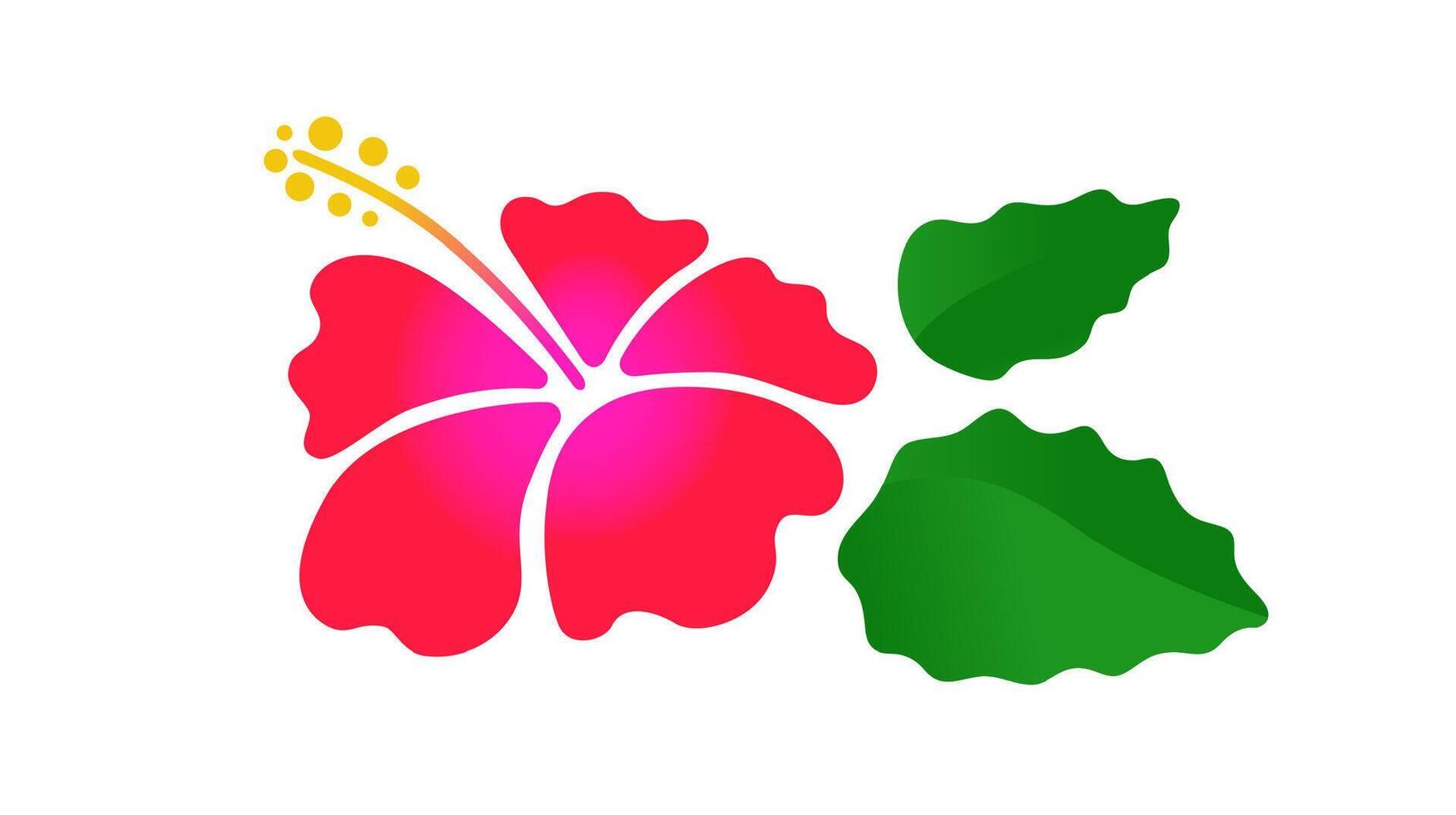 hibisco flor con hojas. color ilustración aislado en blanco antecedentes. vector