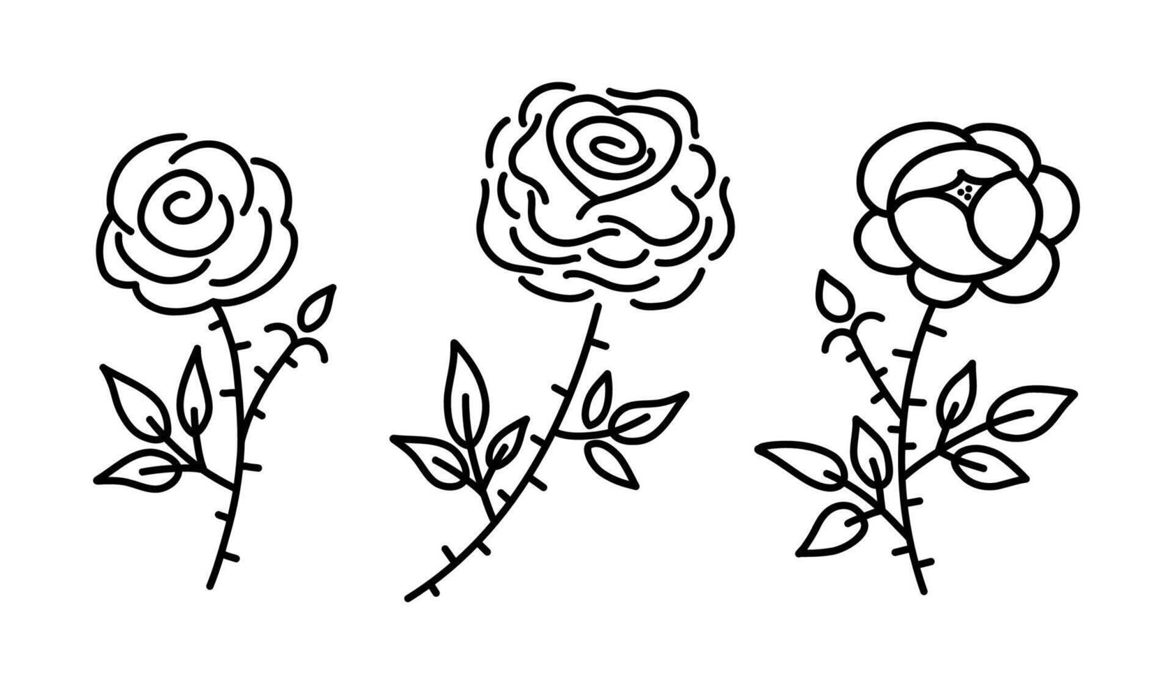 Set of hand drawn rose flowers. Black line illustration collection isolated on white background. vector