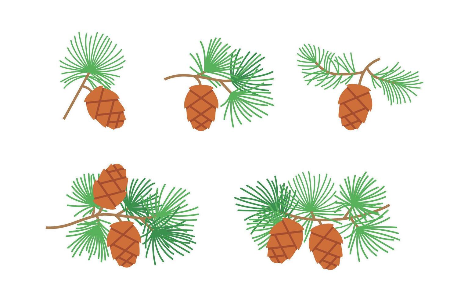 Pine branches with cones. Flat color illustrations set isolated on white background. vector
