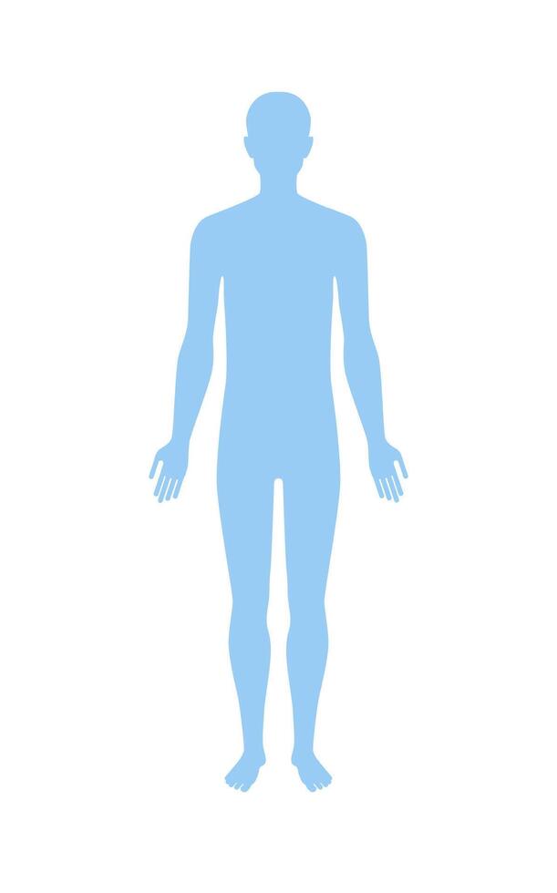 en pie humano cuerpo silueta frente vista. plano ilustración aislado en blanco. vector