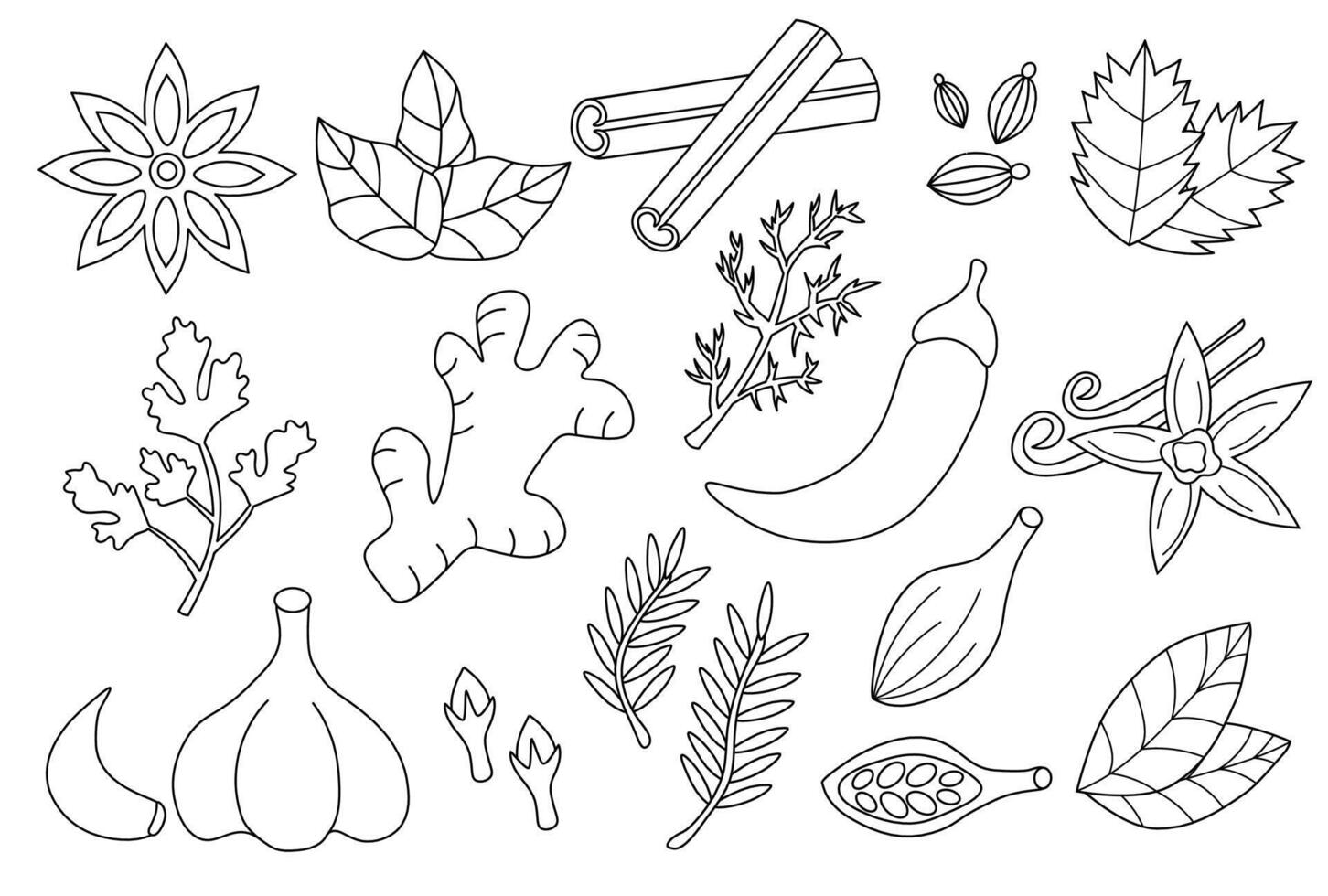 Set spices, condiments and herbs. Doodle Outline Line art collection icon, logo, stickers. Black and white. flat illustration vector