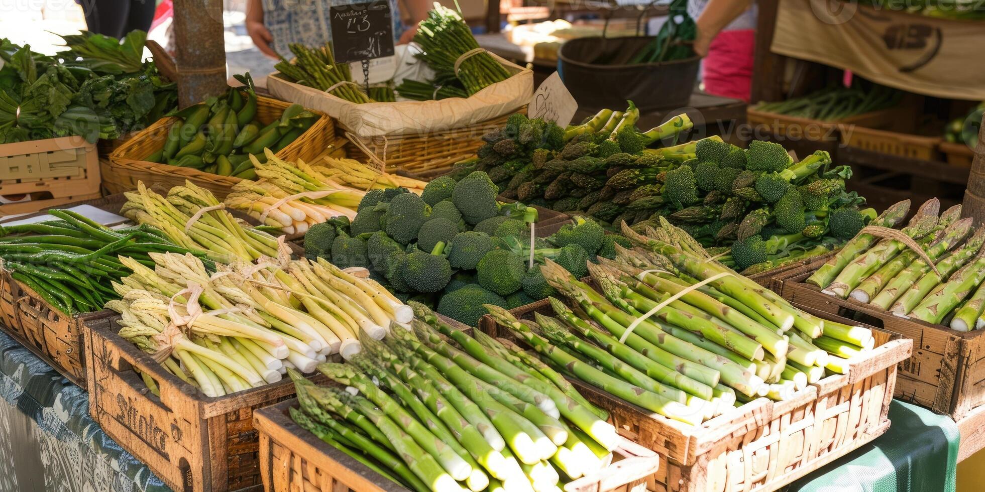 Organic asparagus on the market. photo