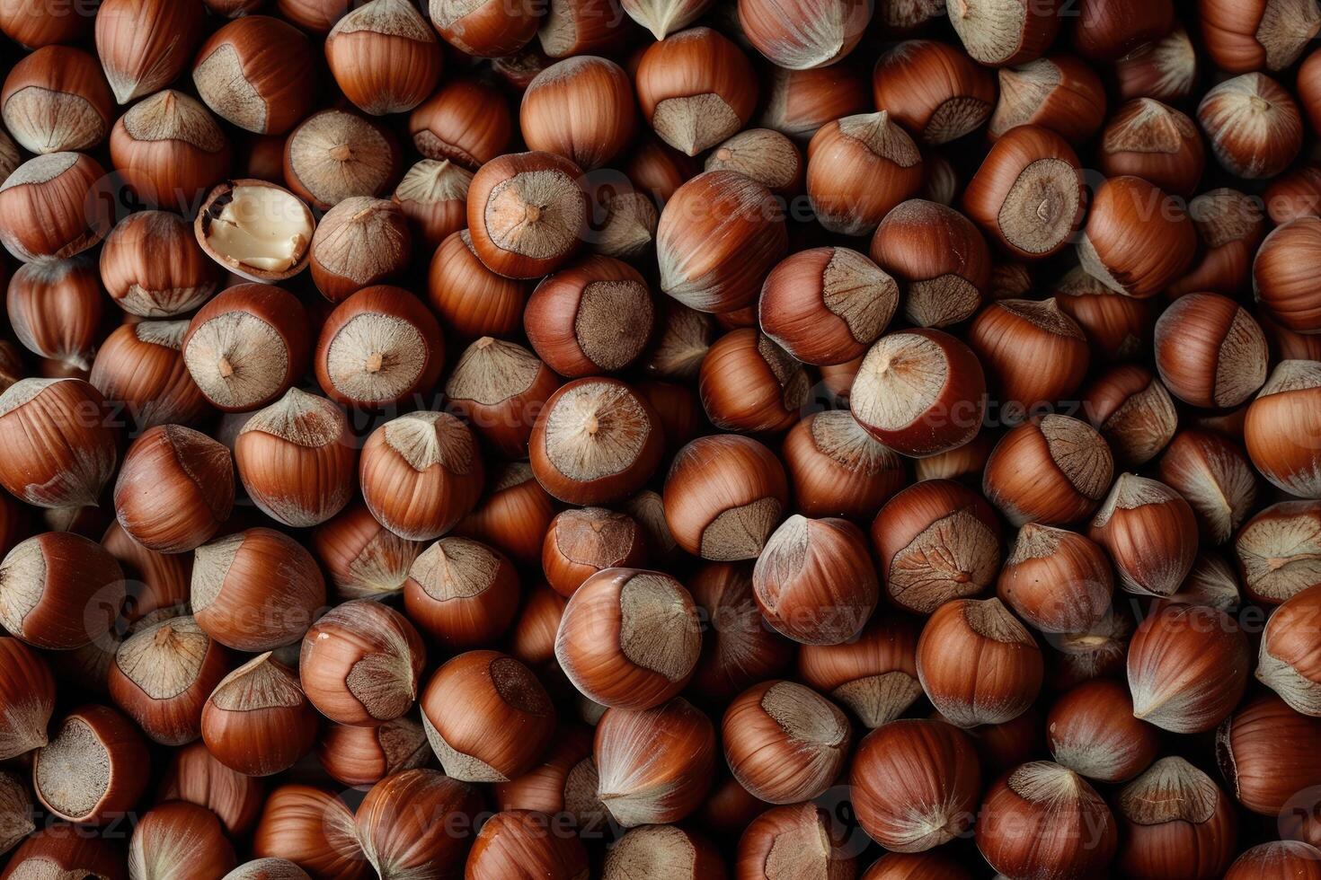 Closeup view of hazelnuts nuts photo