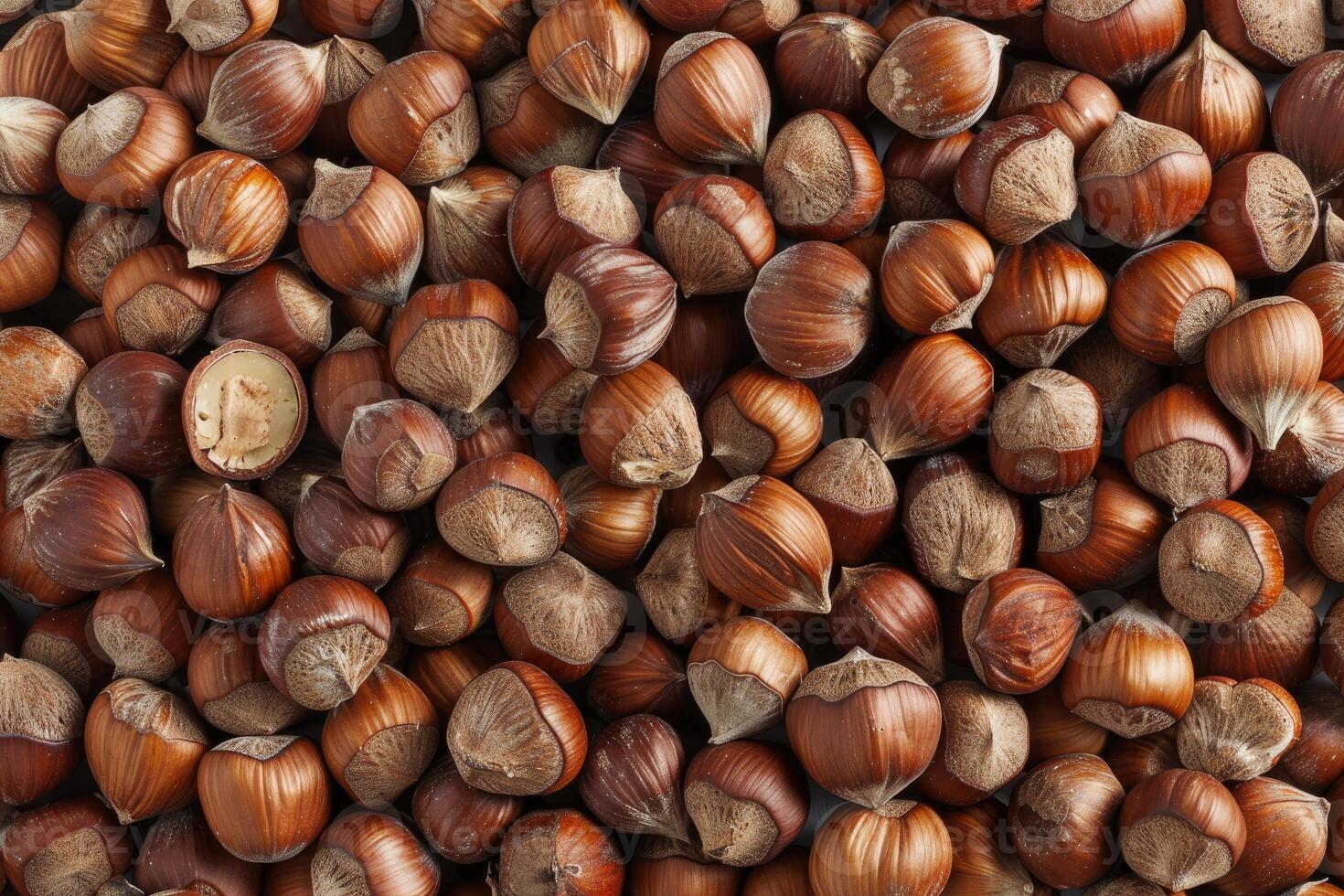 Closeup view of hazelnuts nuts photo