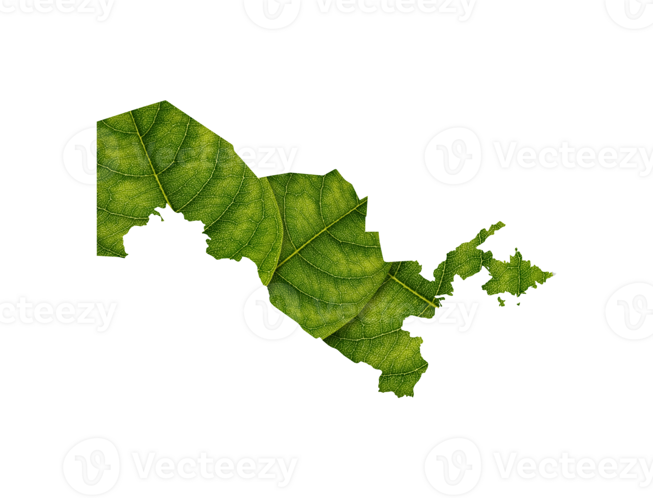 Uzbekistan map made of green leaves ecology concept png
