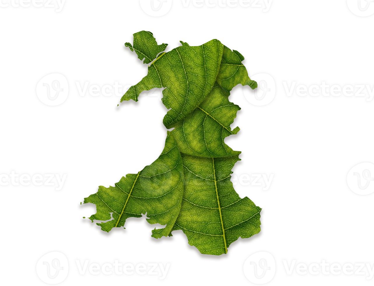 Wales map made of green leaves, concept ecology Map green leaf png