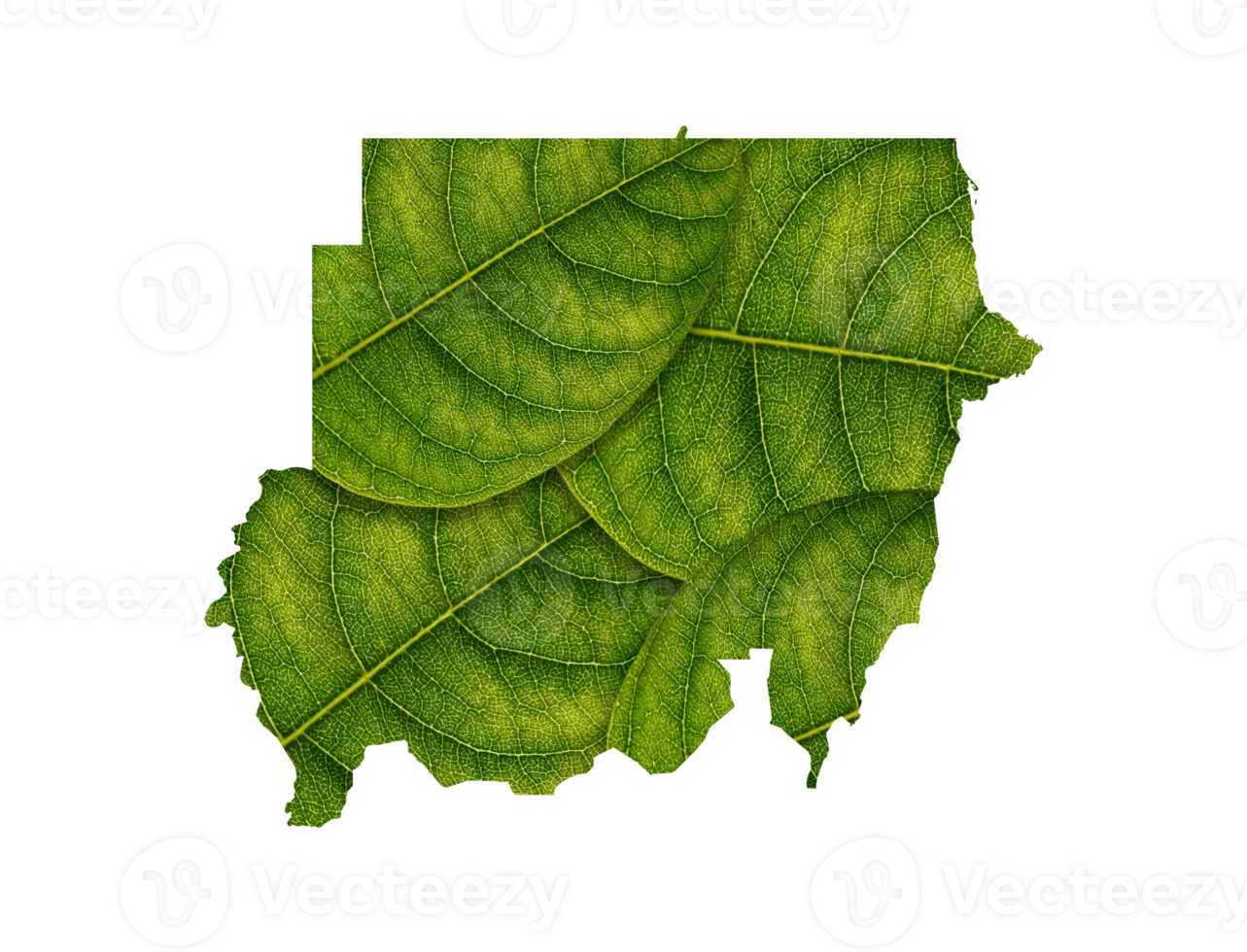 Sudan map made of green leaves ecology concept png