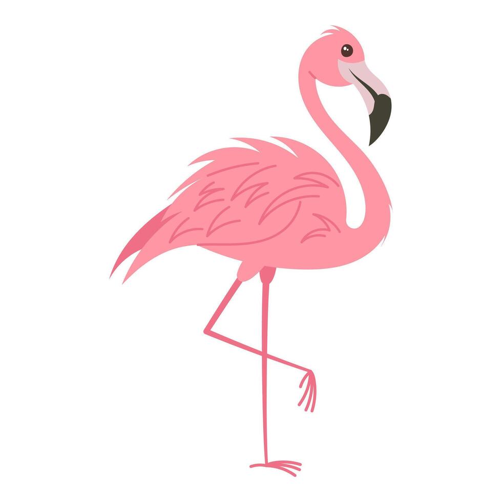 Pink flamingo hand drawn, illustration vector