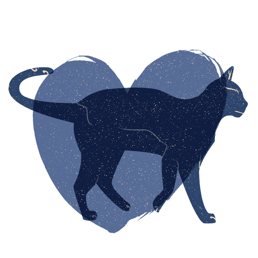 Cat and heart silhouette illustration in pastel colors. png
