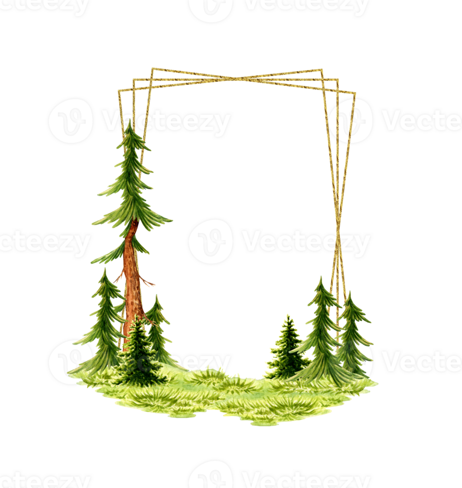 Watercolor illustration geometric frame element of natural landscape. Forest wildlife scene with green grass, coniferous trees, spruce, pine. For composing compositions on the theme of forest, tourism png