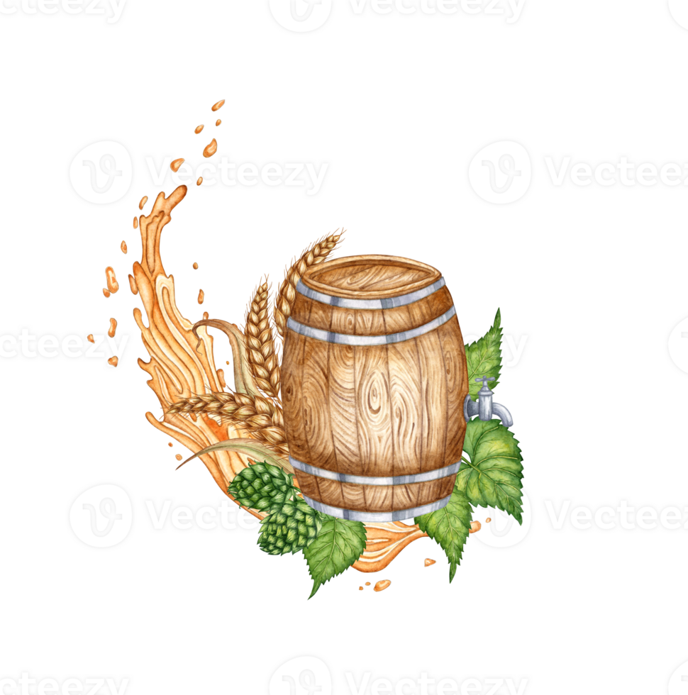 Watercolor illustration of a wooden barrel decorated with beer splashes, hops and ears of wheat, isolated from background. Ideal for menu design and celebrations such Harvest Festival or Oktoberfest. png