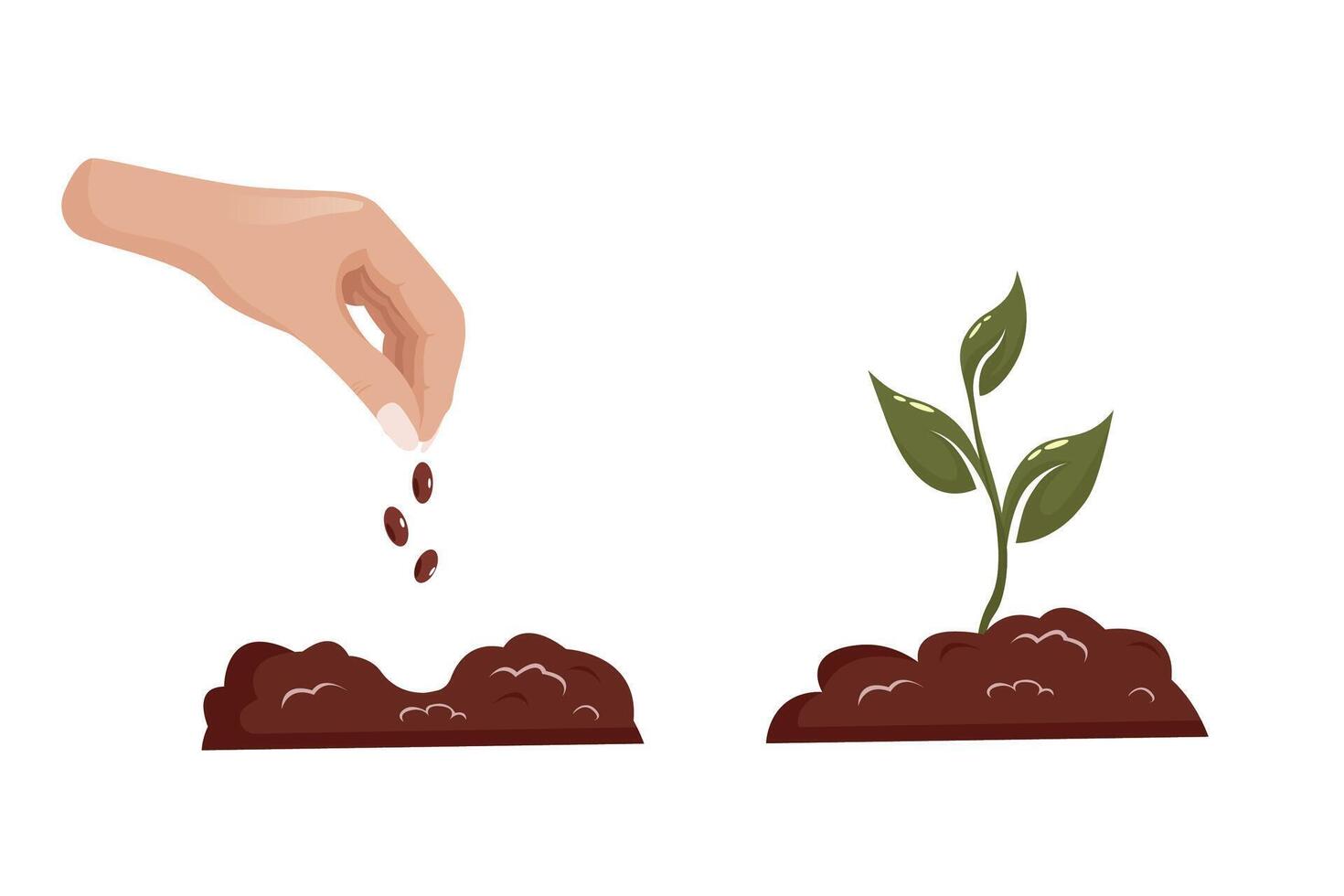 A hand plants a grain in the ground, growing new green plant sprouts. vector