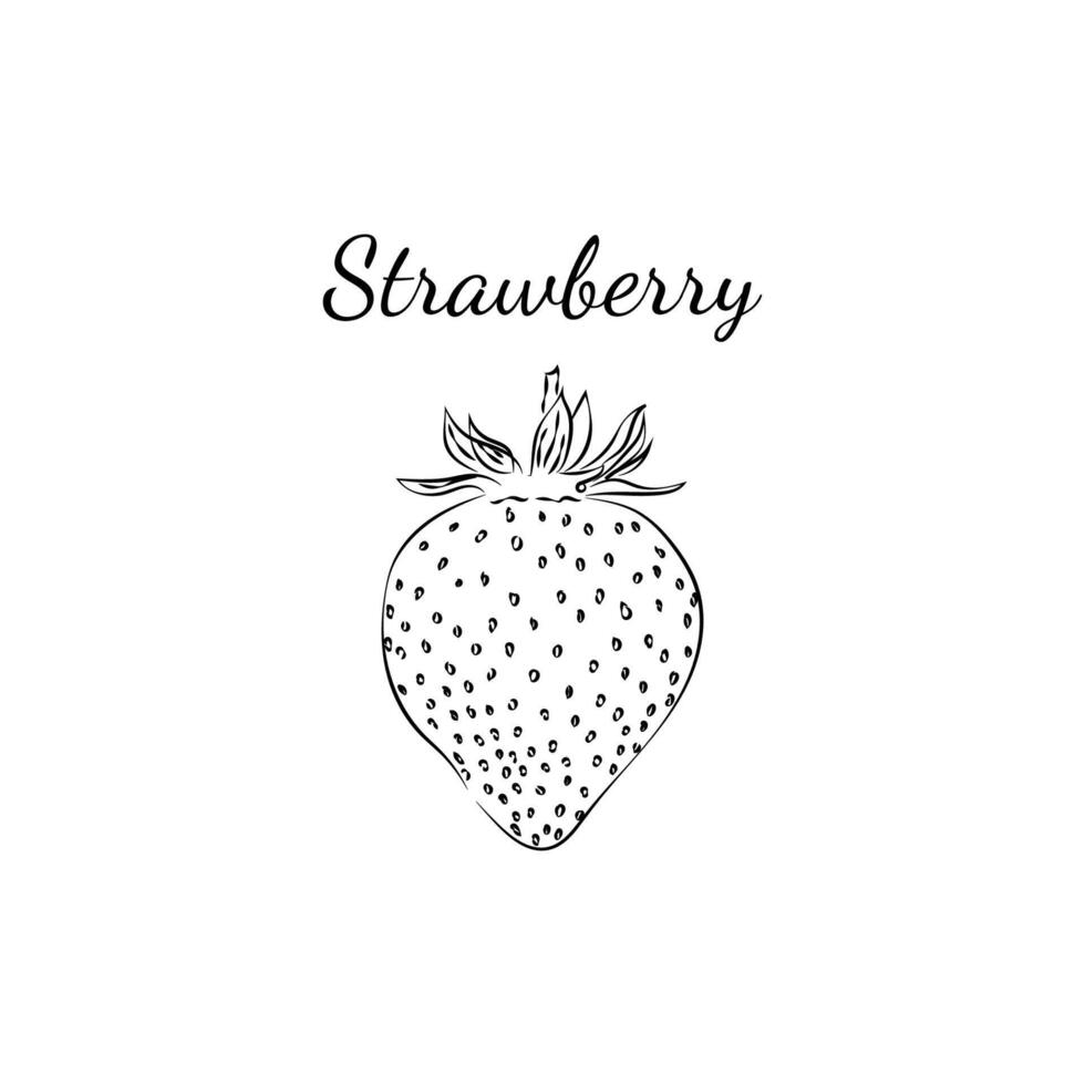 illustration of a strawberry, hand-drawn. Sketch of a strawberry. Strawberry icon and logo. Black and white. vector