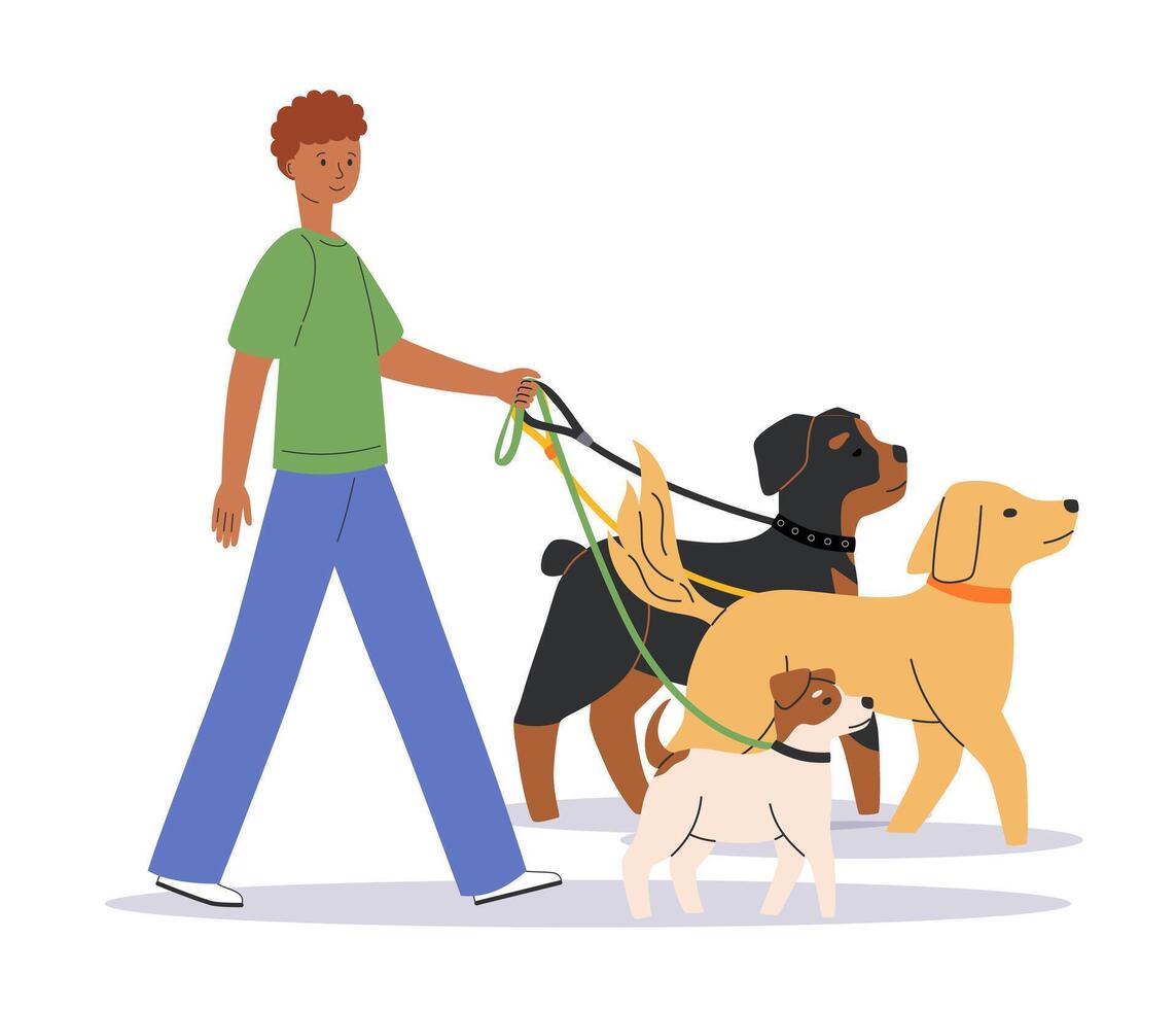 Young man walking with cute dogs. Happy pet owner with rottweiler, labrador retriever, jack russell terrier. Dog trainer or dog walker. Side view. Flat illustration isolated on white background vector