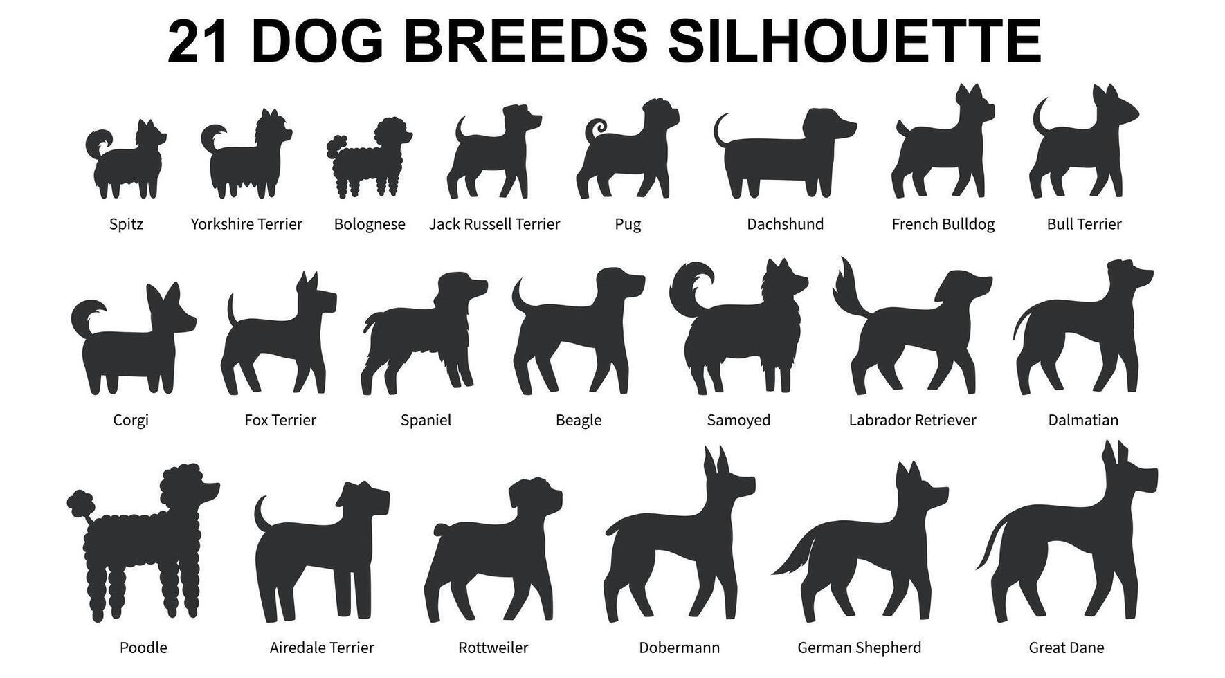Collection of 21 Dog Breeds silhouette. Side view. illustration isolated on white background vector
