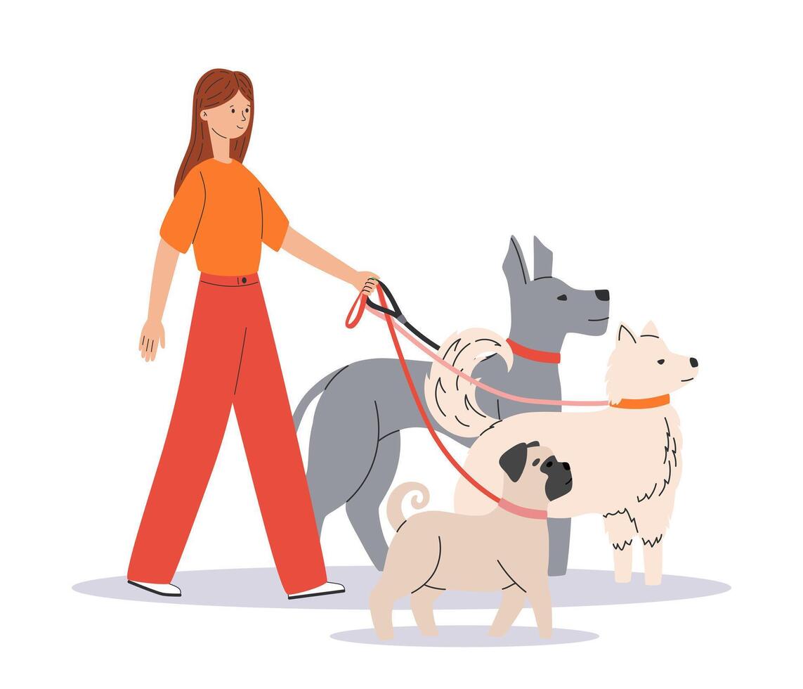 joven mujer caminando con linda perros. contento mascota propietario con mastín, samoyedo, doguillo. perro entrenador o perro caminante. lado vista. plano ilustración aislado en blanco antecedentes vector