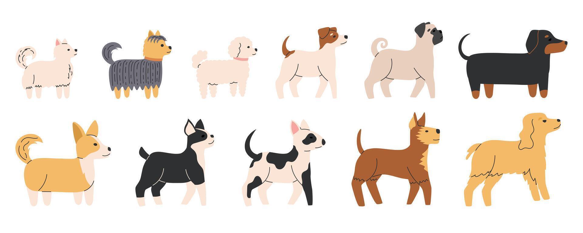 Cute dogs of different breeds set. Diverse small and medium doggies. Canine animals. Side view. Flat illustration isolated on white background vector