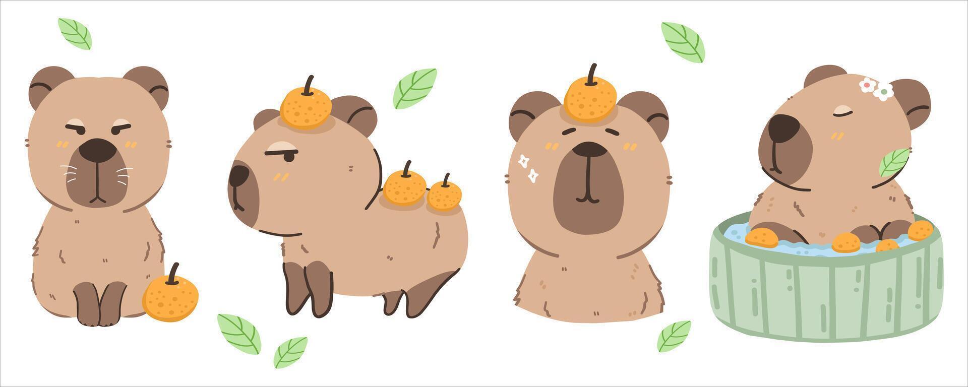 Capybara and orange illustrations on white background vector