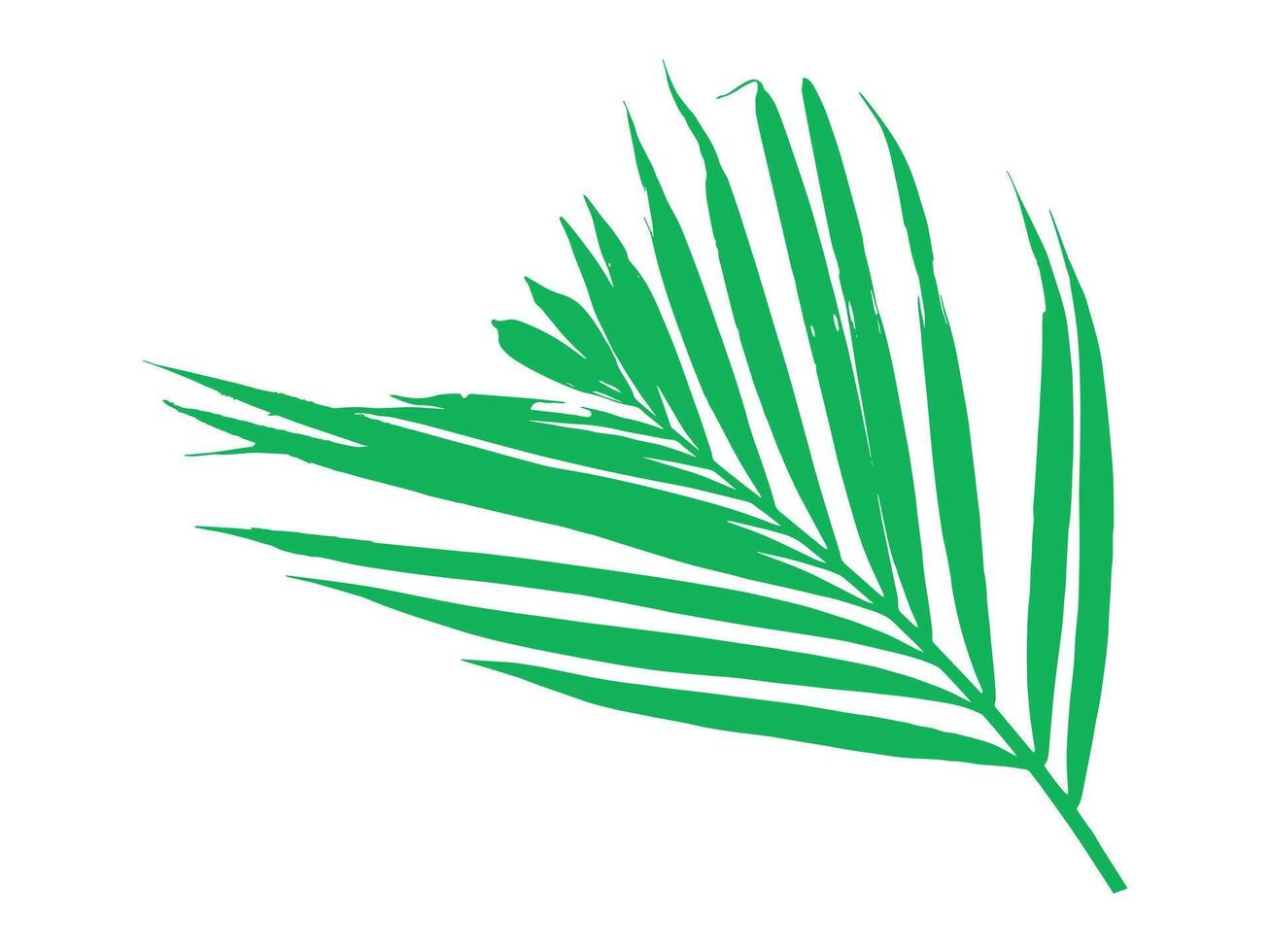 Palm Green Leaf Background Illustration vector