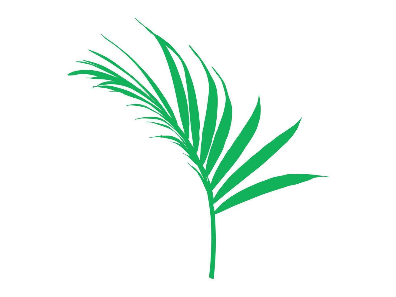 Coconut Palm Leaves Background Illustration vector