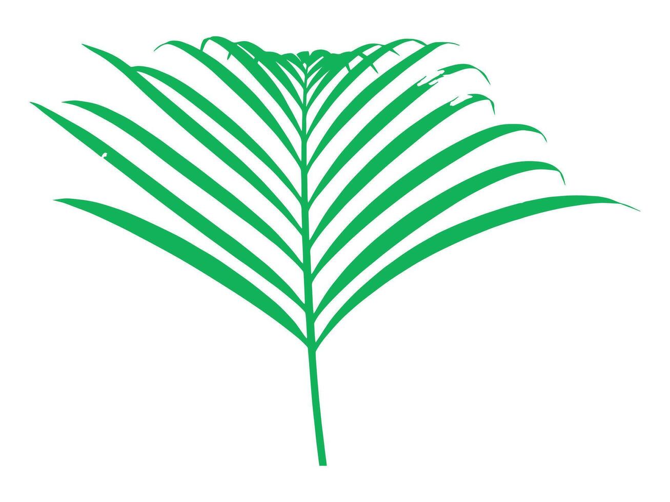 Coconut Palm Leaves Background Illustration vector
