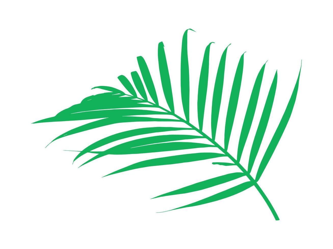 Coco hoja tropical hojas ilustración vector
