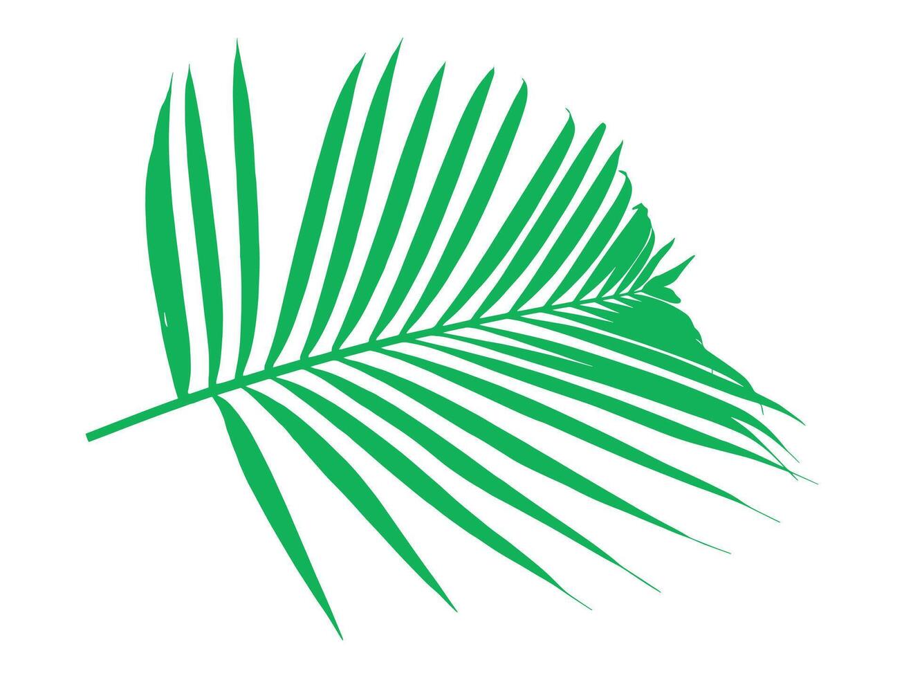 Palm Green Leaf Background Illustration vector