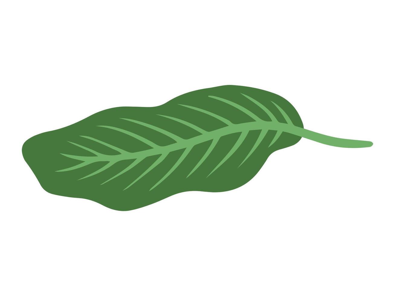 Tropical Green Leaf Background Illustration vector