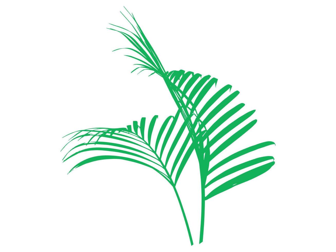 Palm Green Leaves Background Illustration vector