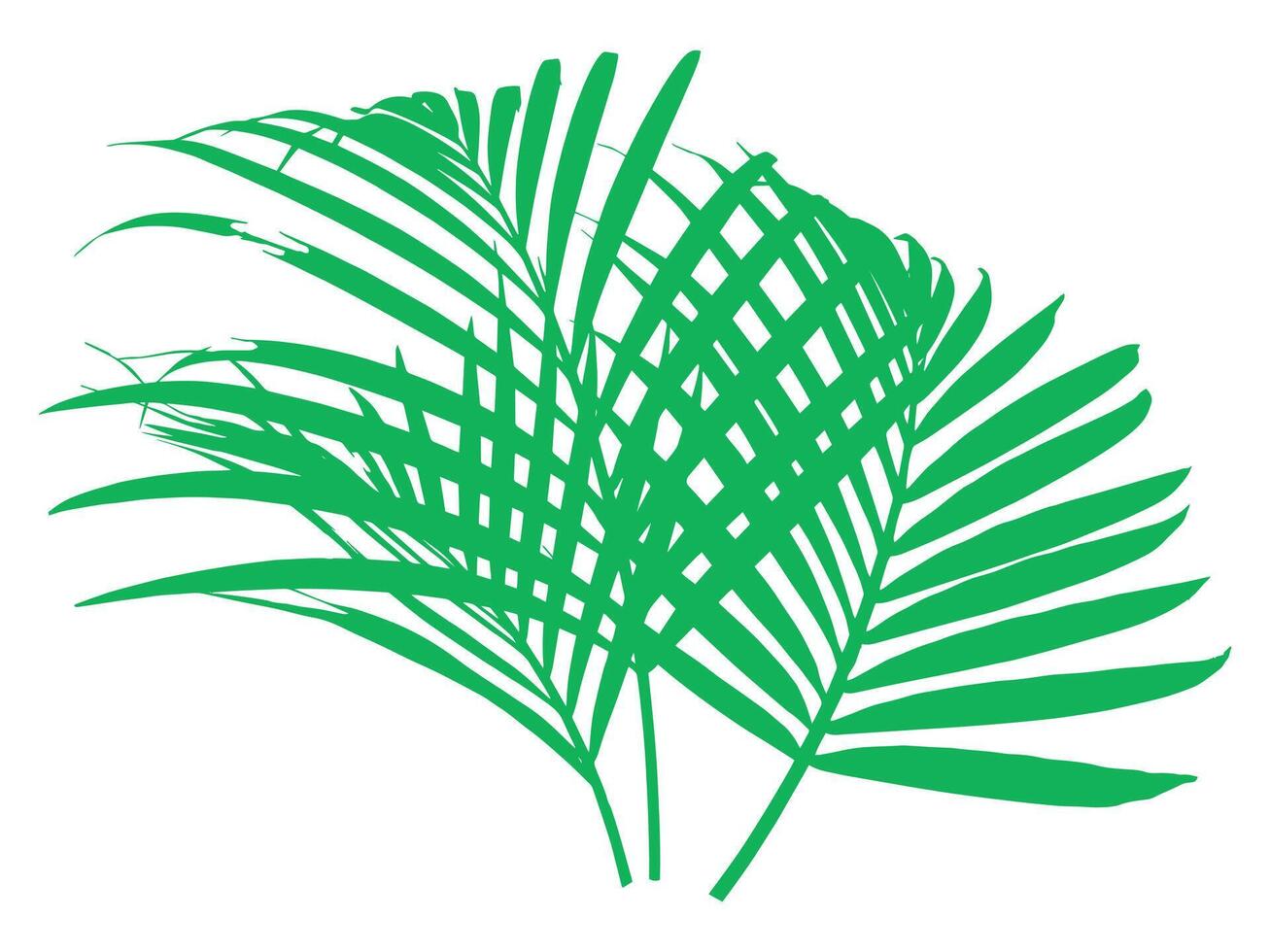Palm Green Leaves Background Illustration vector