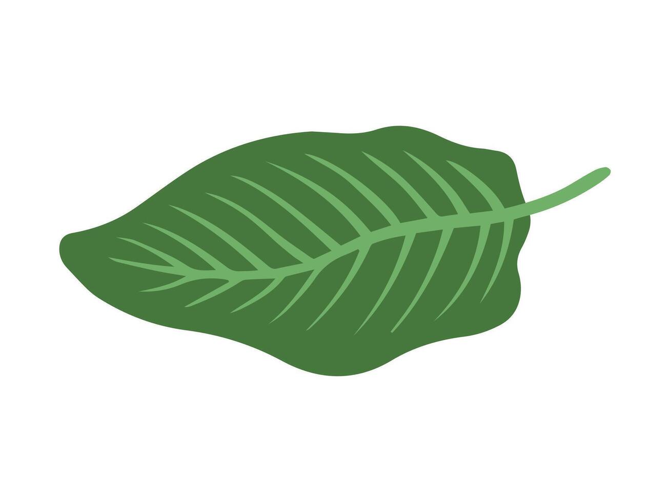 Tropical Green Leaf Background Illustration vector