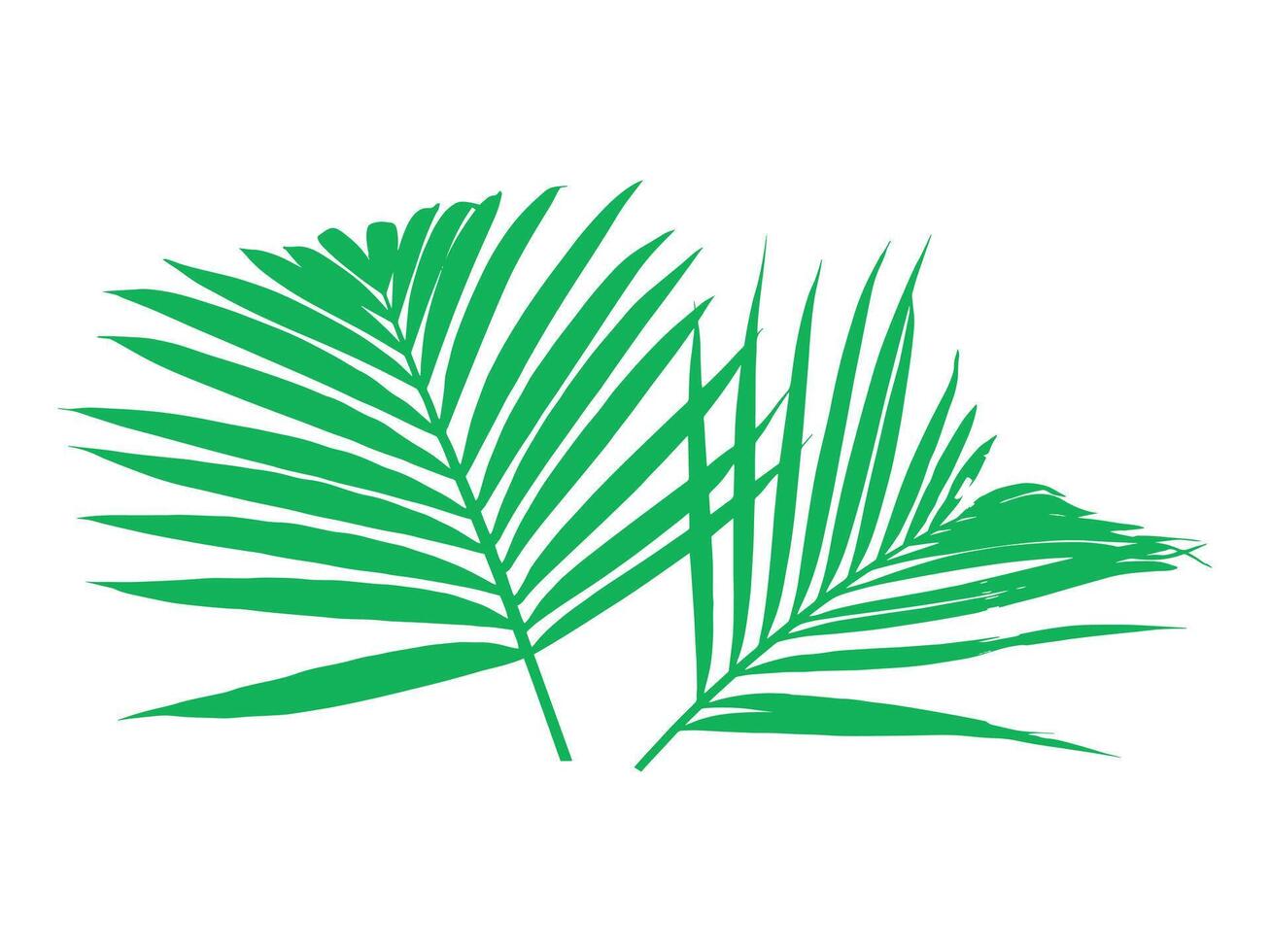Coconut Palm Leaves Background Illustration vector