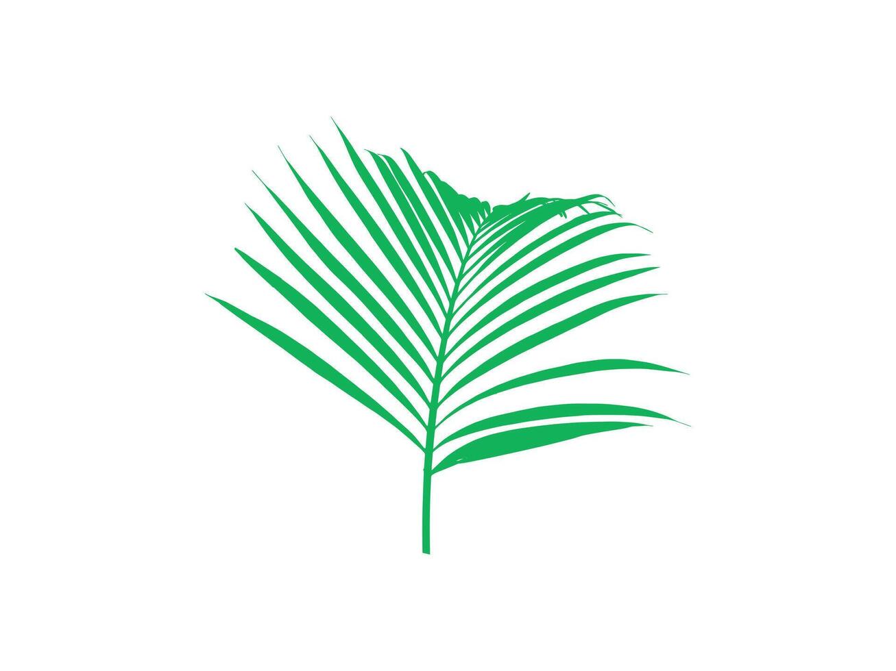 Coconut Palm Leaves Background Illustration vector