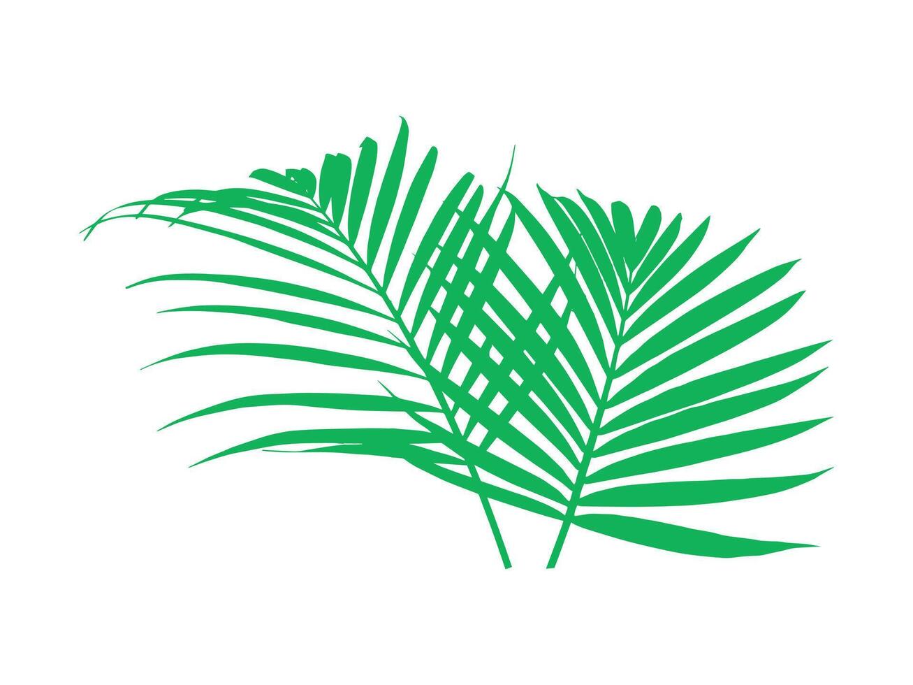 Palm Green Leaves Background Illustration vector