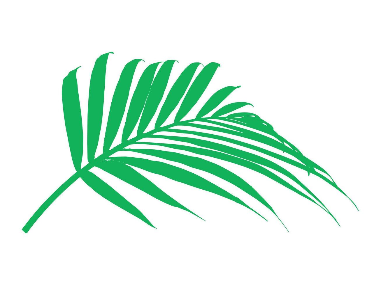Palm Green Leaf Background Illustration vector