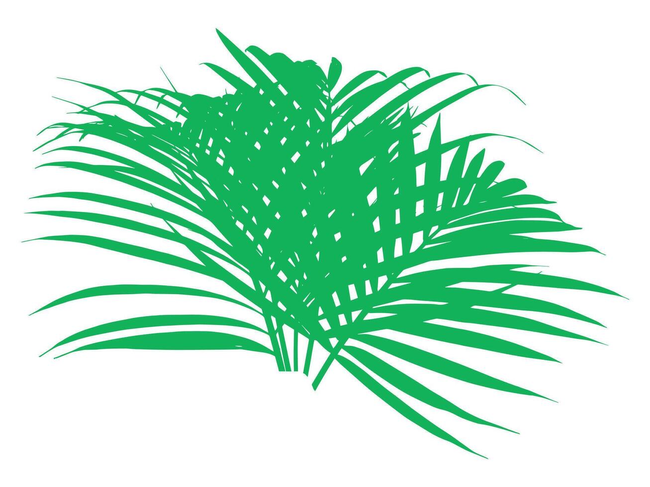 Coconut Leaf Tropical Leaves Illustration vector