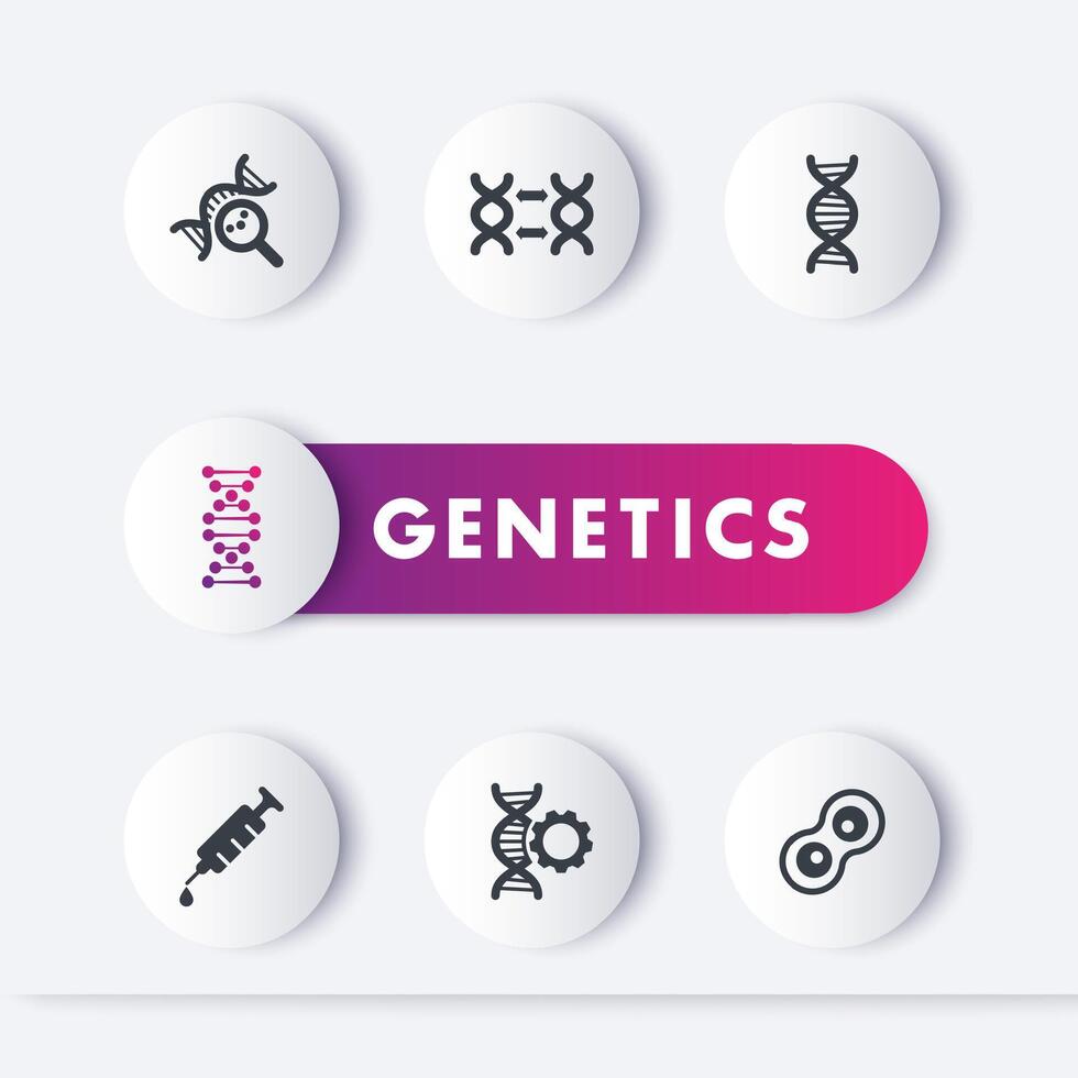 genética íconos colocar, genético modificación, adn replicación, investigación, ilustración vector