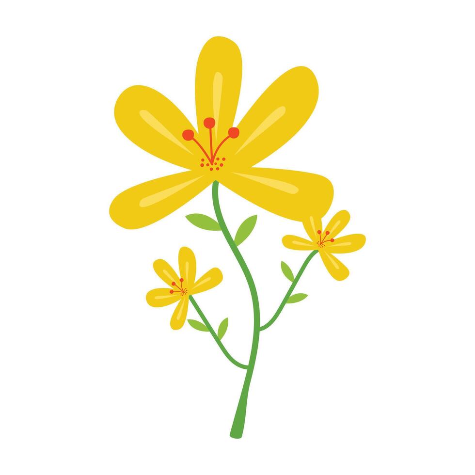 Cute flower isolated on white background vector