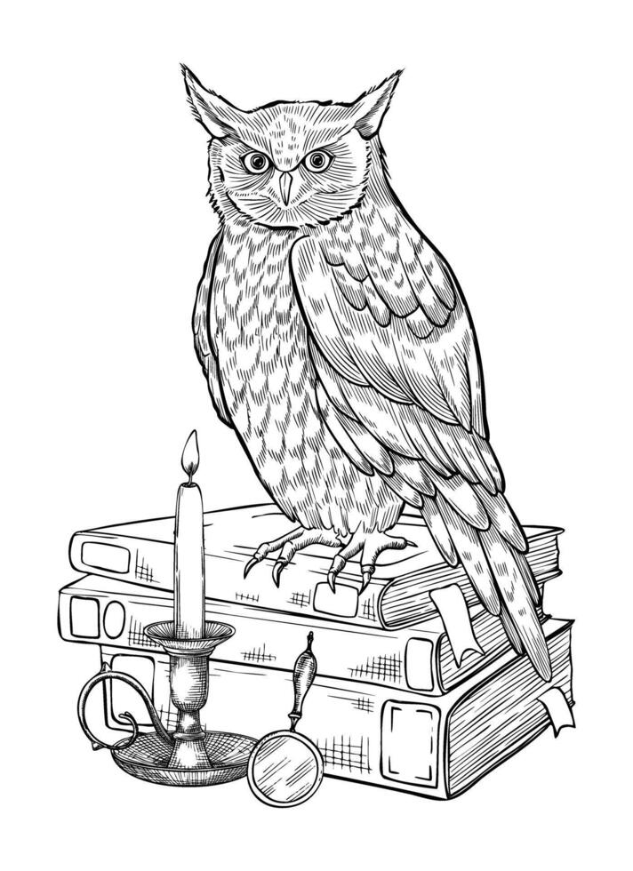 Wise Owl on a stack of books. illustration of bird a symbol of wisdom and knowledge. Linear drawing on isolated background. Monochrome etching of educational school notebooks with candle light vector