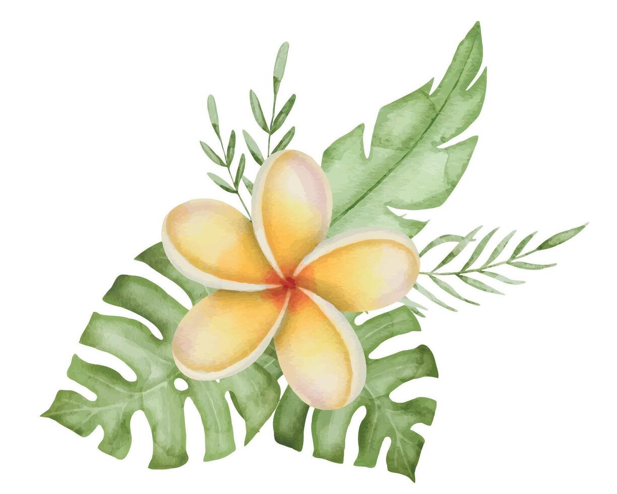 Plumeria Watercolor Frame Border. Frangipani flower with tropical leaves. Hand drawn clipart on isolated background. Round wreath from a bouquet of exotic summer plants. Floral botanical illustration vector