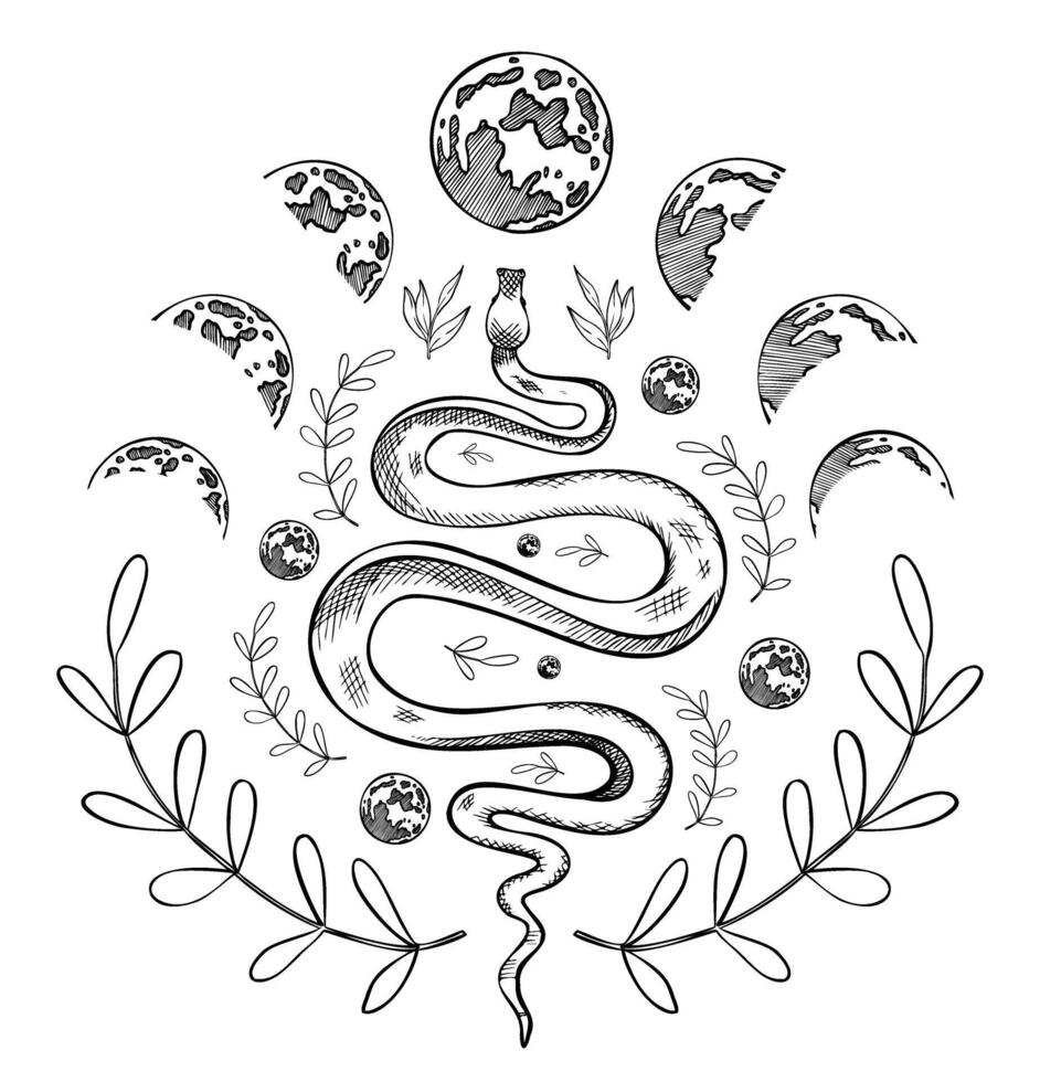 Snake and magic Symbols illustration. Drawing of serpent and esoteric sign on isolated background painted by black inks in outline style for tattoo. Celestial magic composition for prints vector