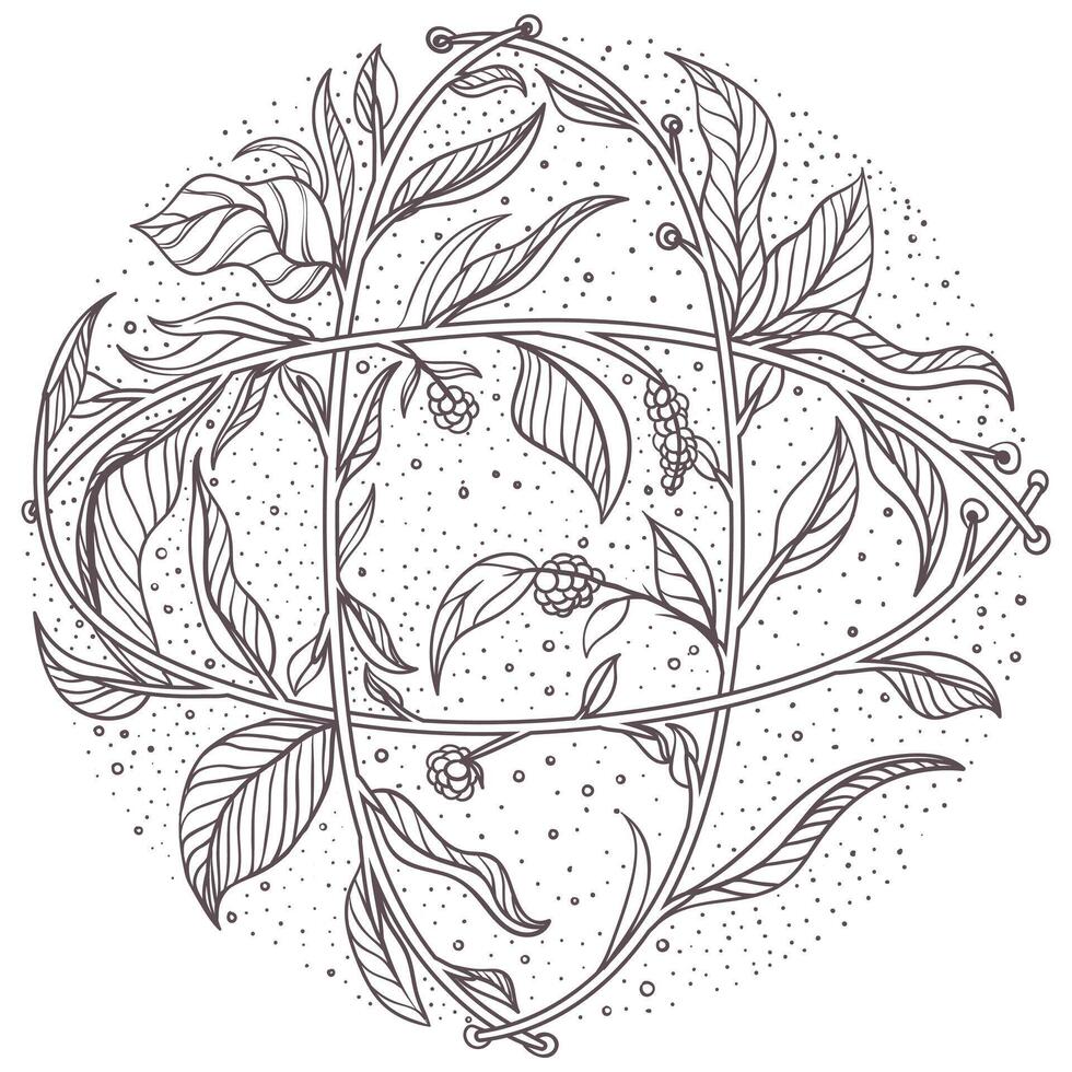 circular minimalist hand drawn ornament with field herbs and flowers vector