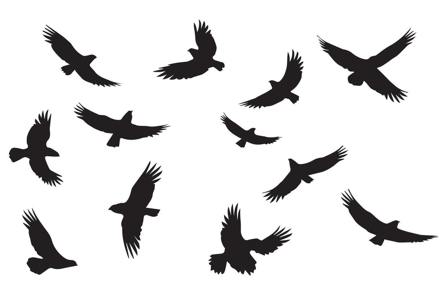 flying birds silhouette set flying birds icon set Set of flying birds silhouettes vector