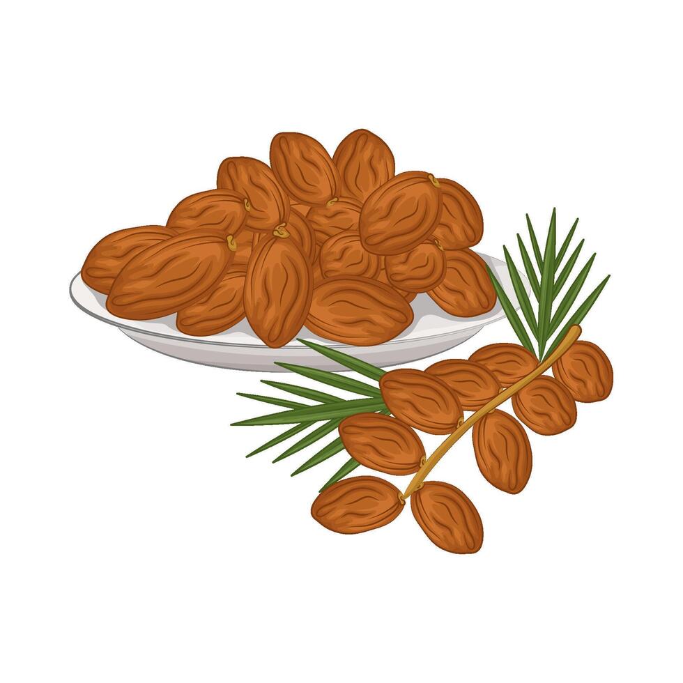 Illustration of kurma vector