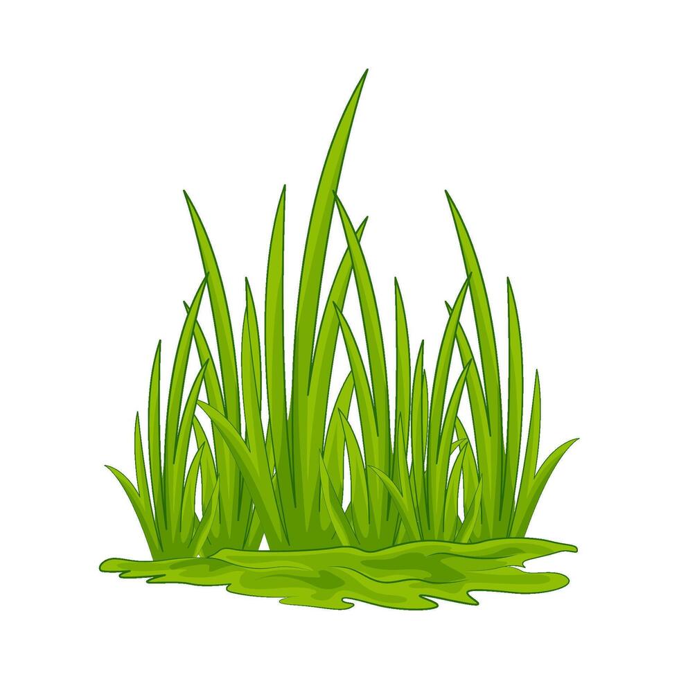 Illustration of grass vector