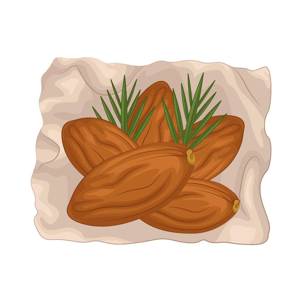 Illustration of kurma vector