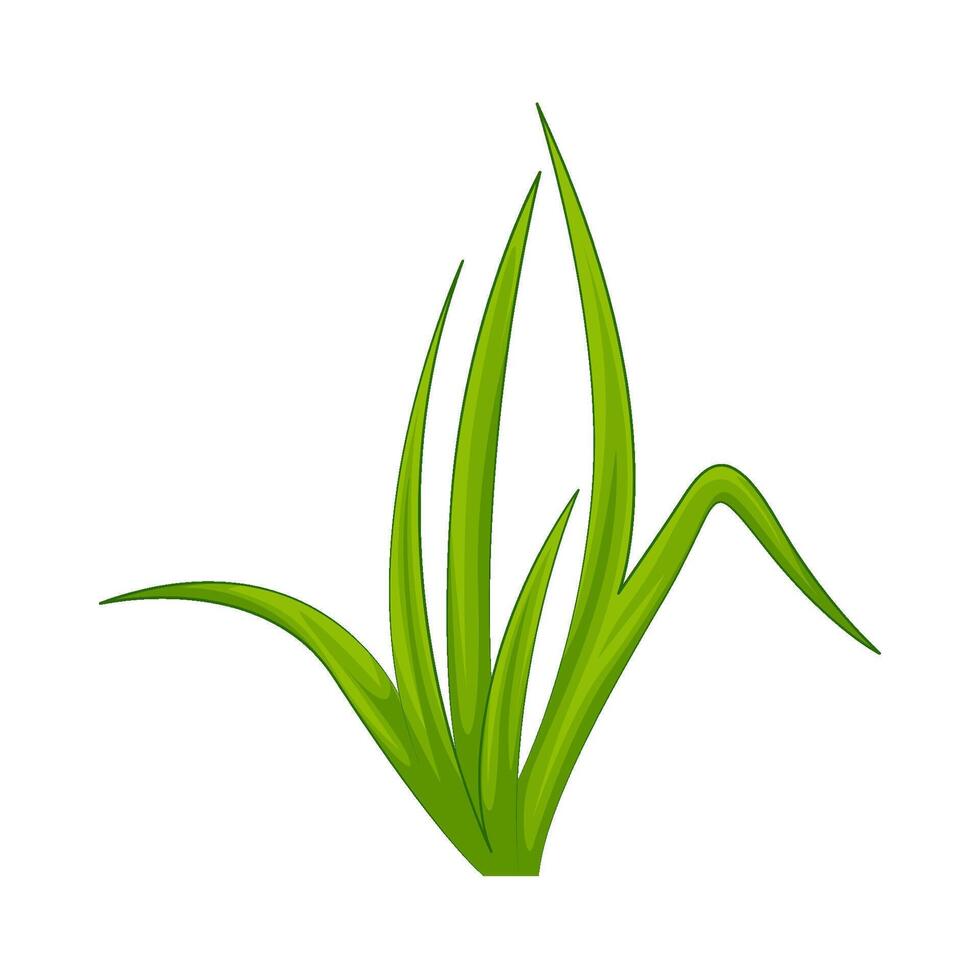 Illustration of grass vector