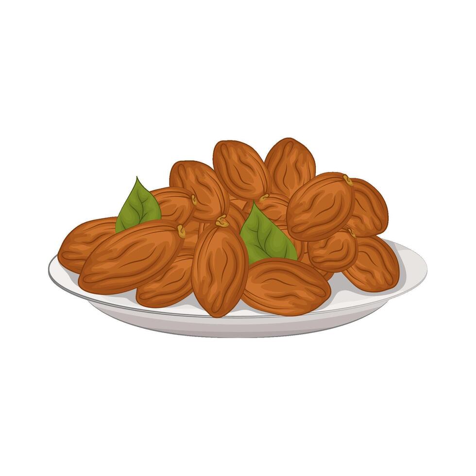 Illustration of kurma vector