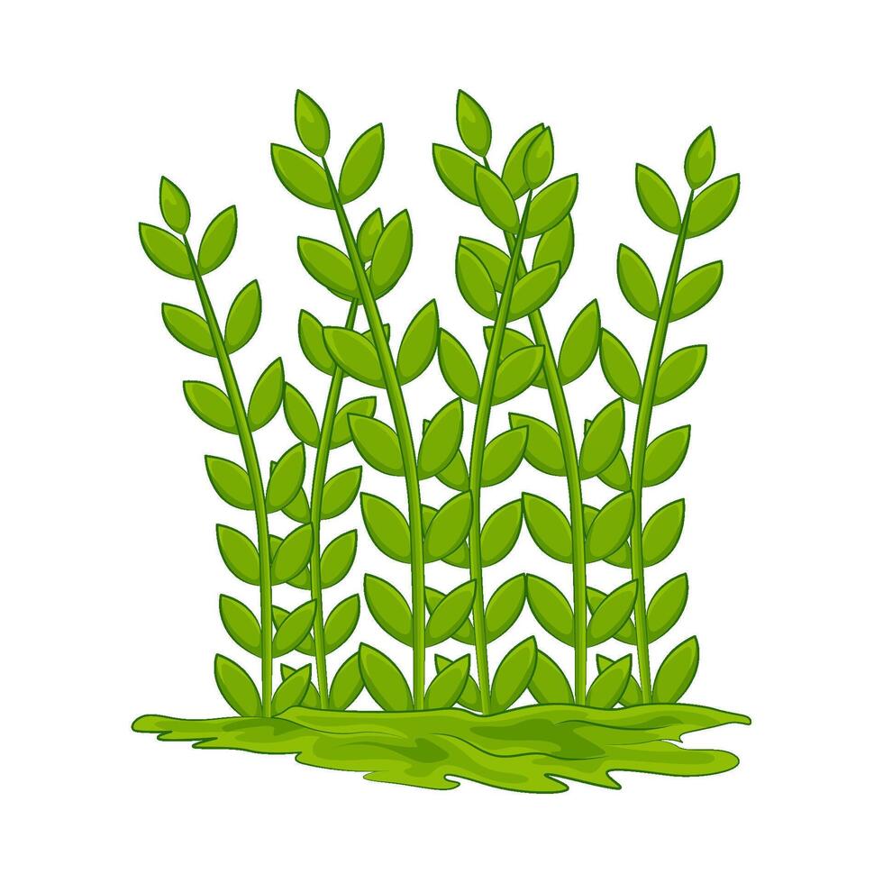 Illustration of grass vector