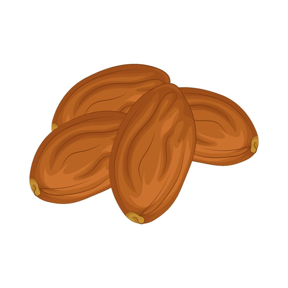 Illustration of kurma vector